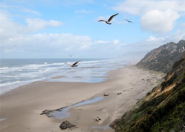 Image Beach views from Pirates Lookout