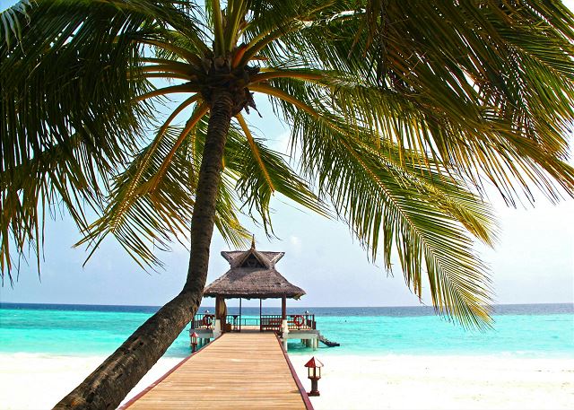 Palm Paradise Hideaway