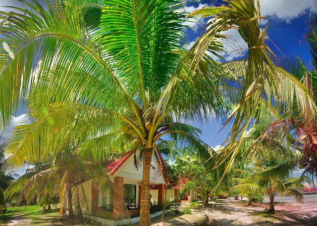 Coconut Cabana Craziness