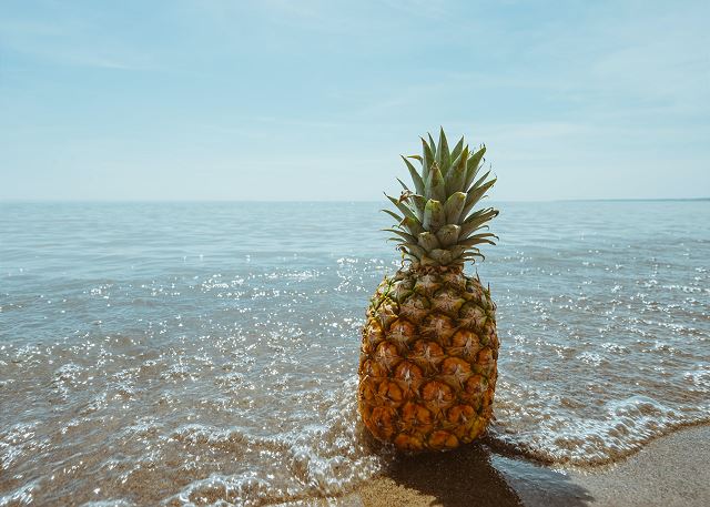 Pineapple Panic Pad