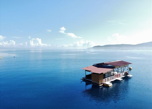 Sun-Kissed Escape