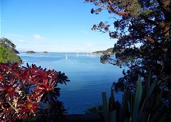 Putiki Bay Paradise, Surfdale