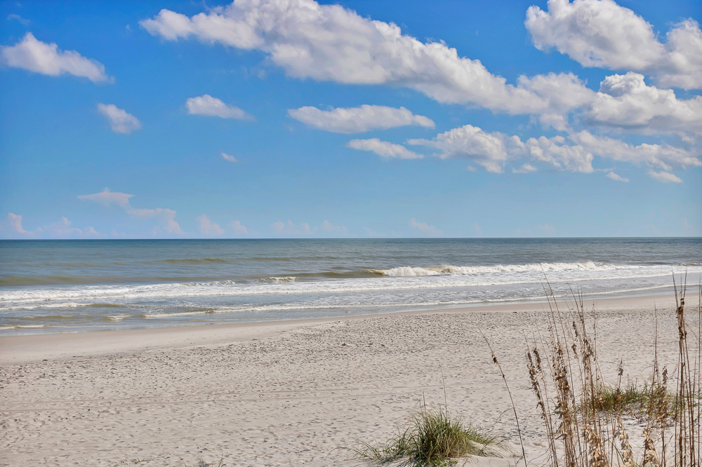 Shore Line Views - Beachfront 2BR Escape w Balcony | Photo 23