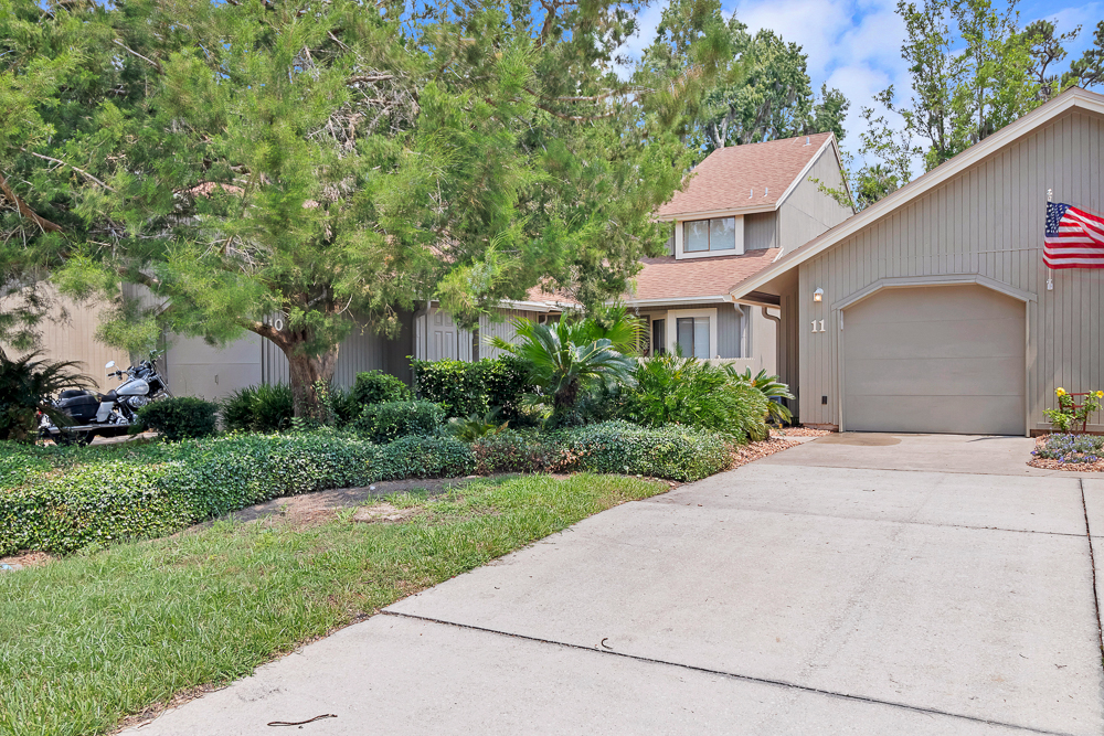 Turtles Nest | Photo 3