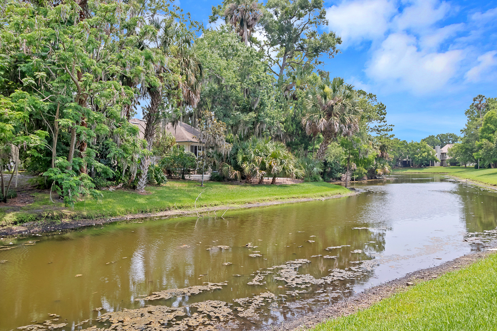 Turtles Nest | Photo 24