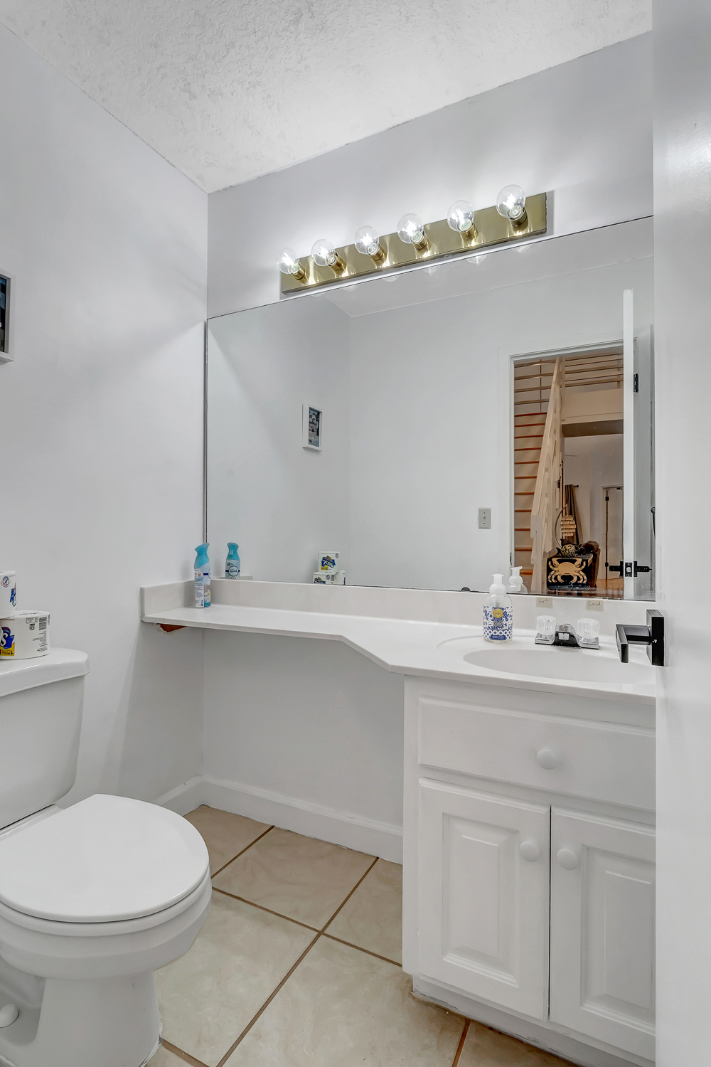 The Blue Turtle | Photo 24