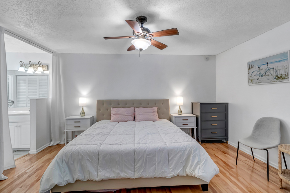 The Blue Turtle | Photo 16