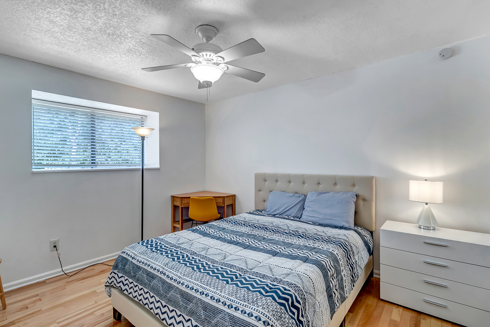 The Blue Turtle | Photo 22