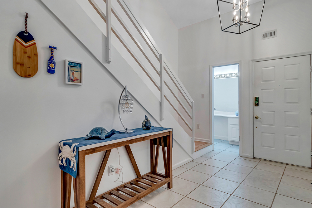 The Blue Turtle | Photo 4