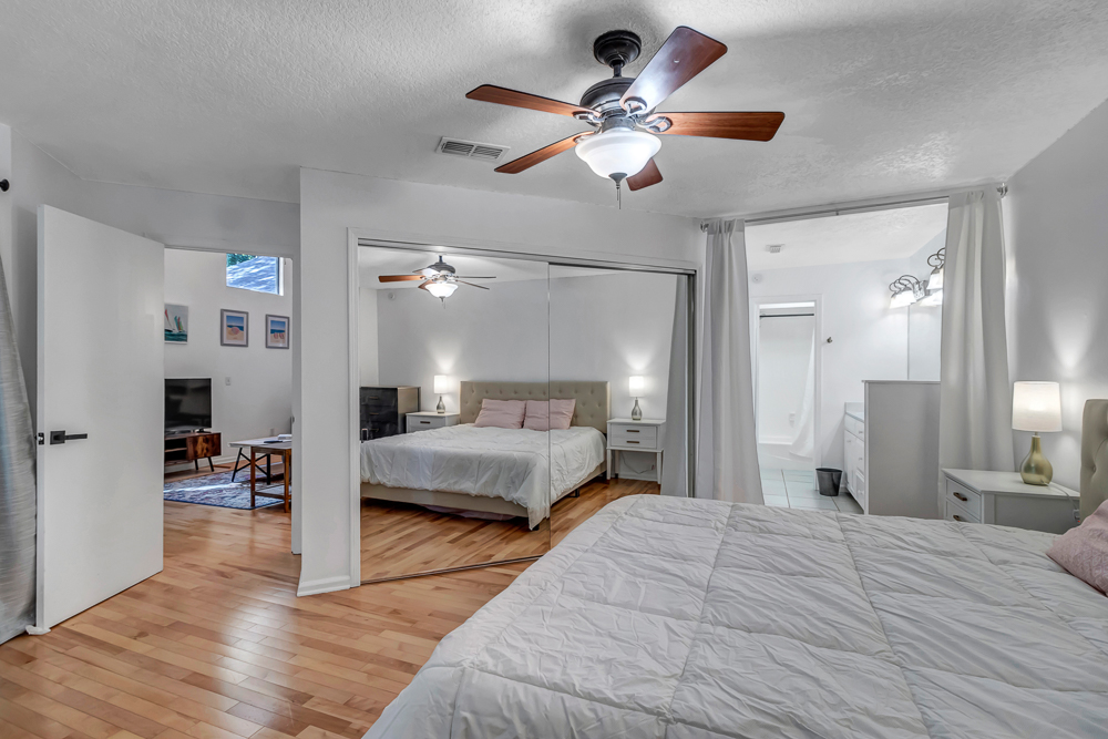 The Blue Turtle | Photo 18