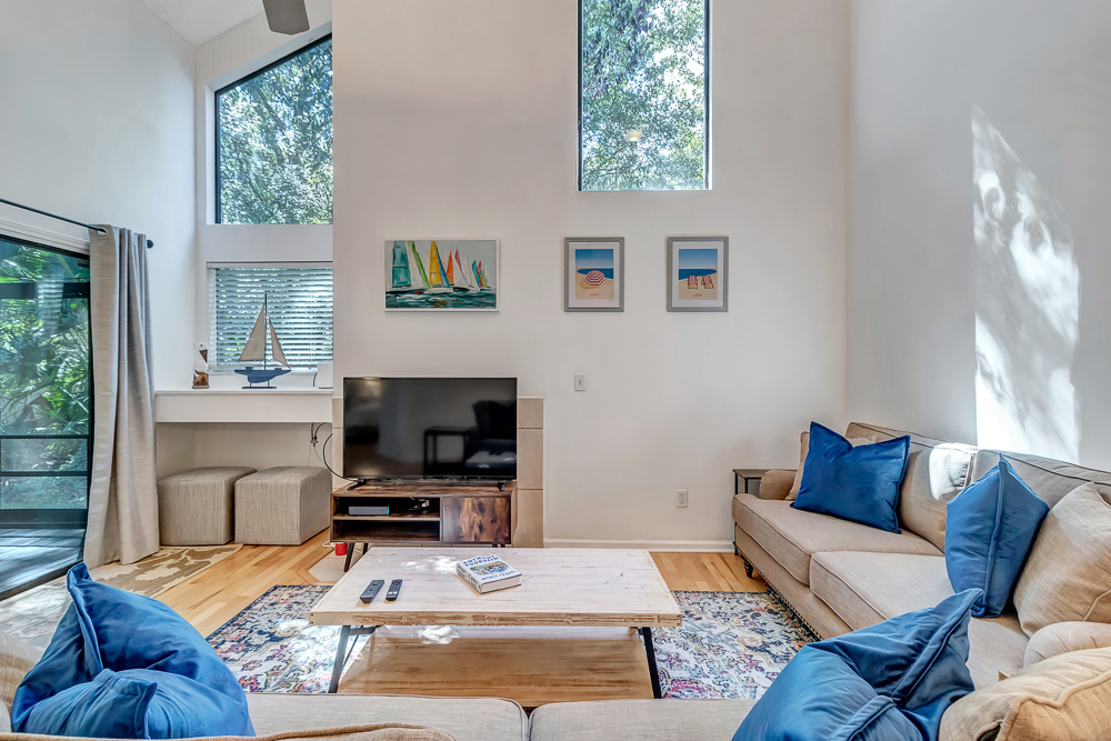 The Blue Turtle | Photo 6