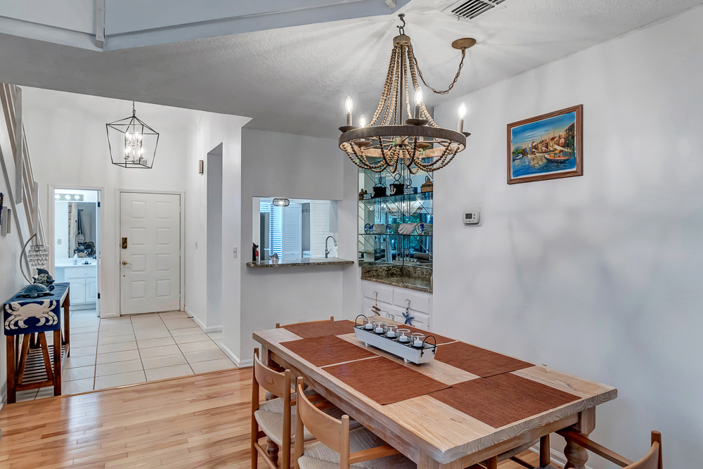 The Blue Turtle | Photo 8