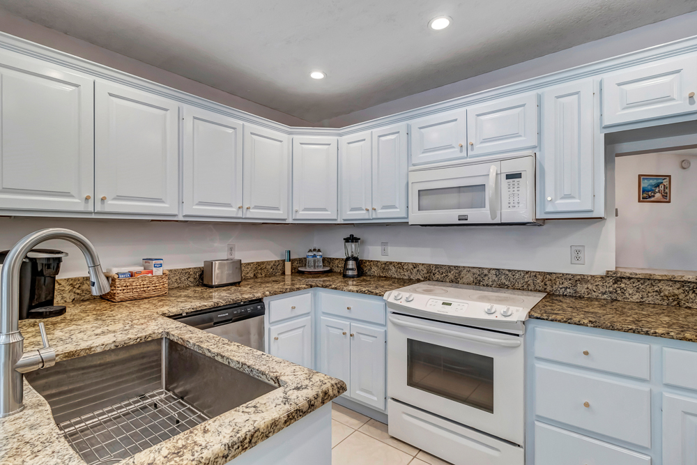 The Blue Turtle | Photo 14