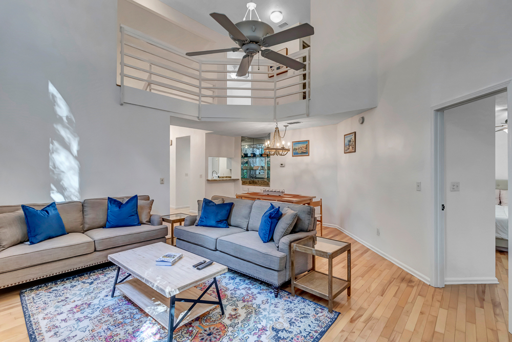 The Blue Turtle | Photo 7