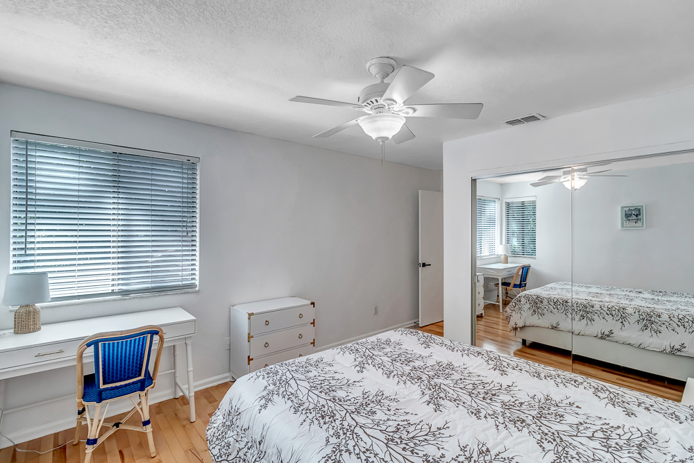 The Blue Turtle | Photo 21