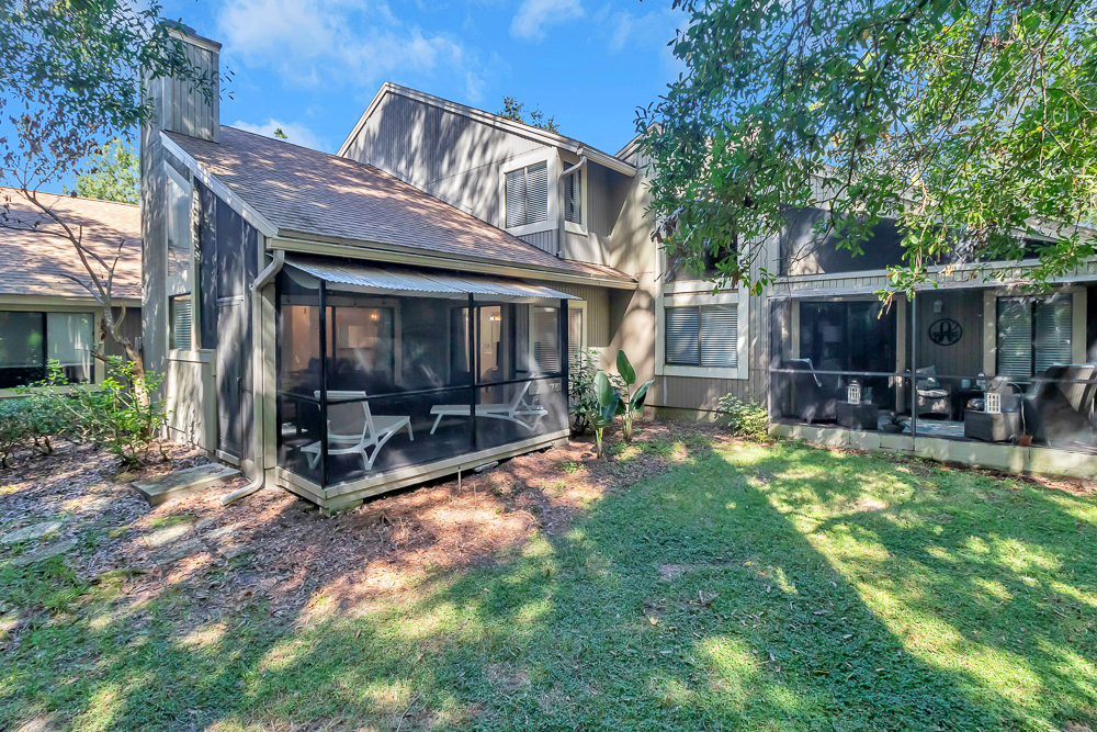 The Blue Turtle | Photo 28