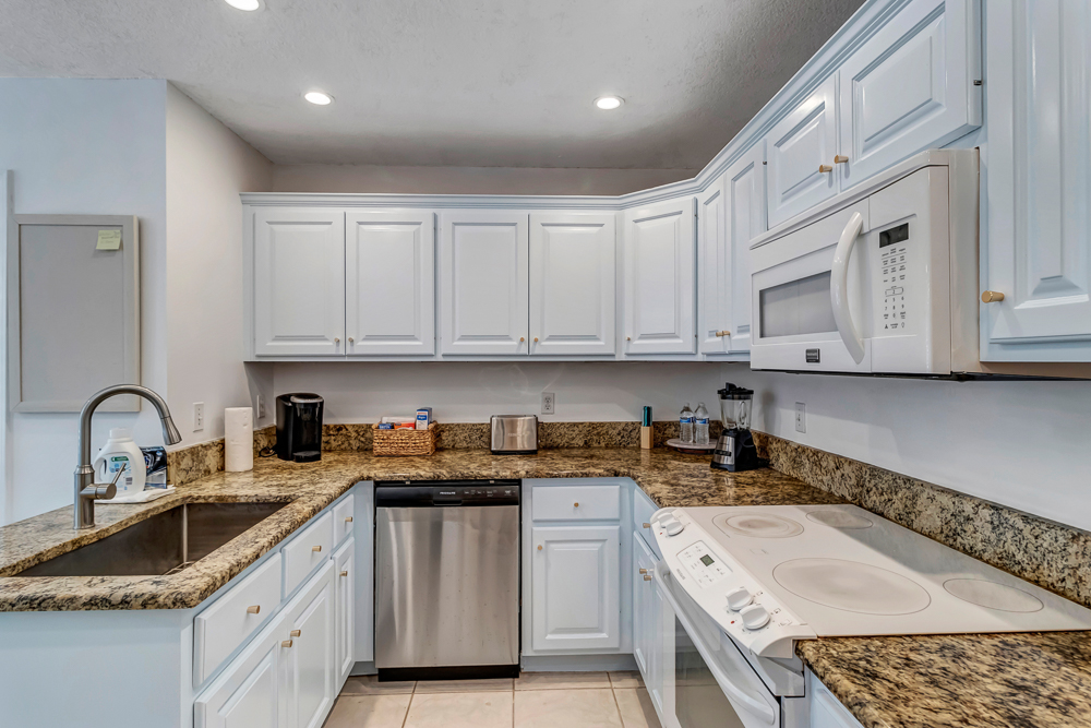 The Blue Turtle | Photo 12