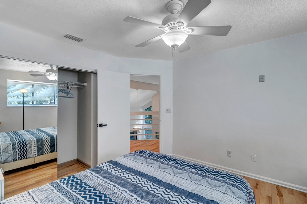 The Blue Turtle | Photo 23