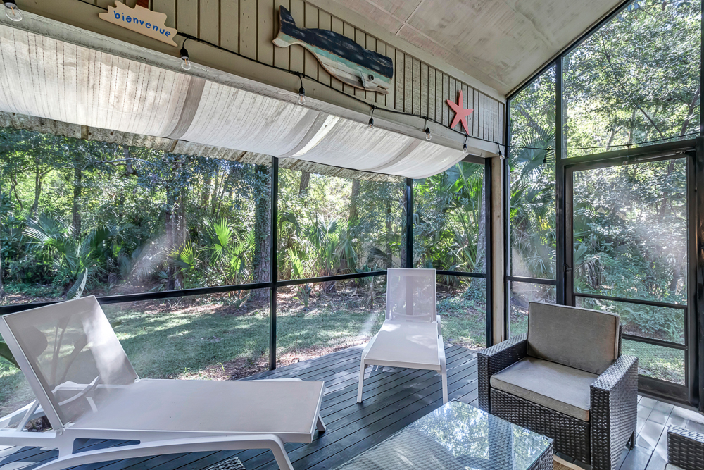 The Blue Turtle | Photo 25