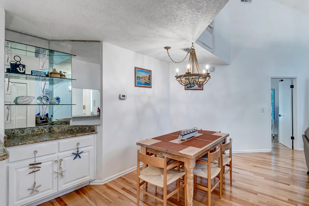 The Blue Turtle | Photo 9