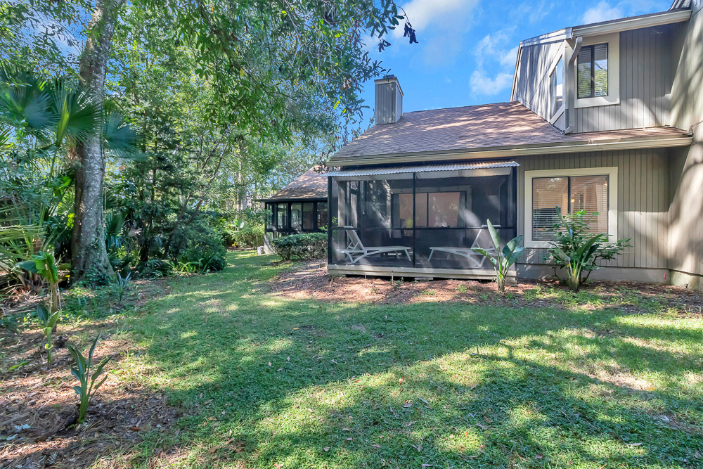 The Blue Turtle | Photo 27