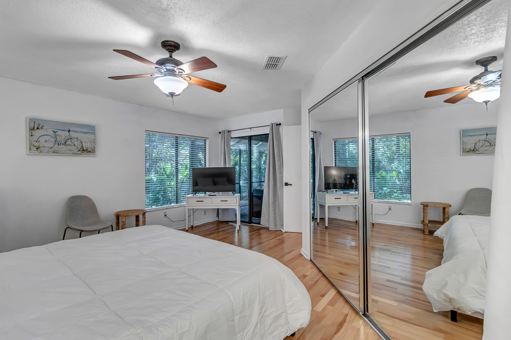 The Blue Turtle | Photo 17