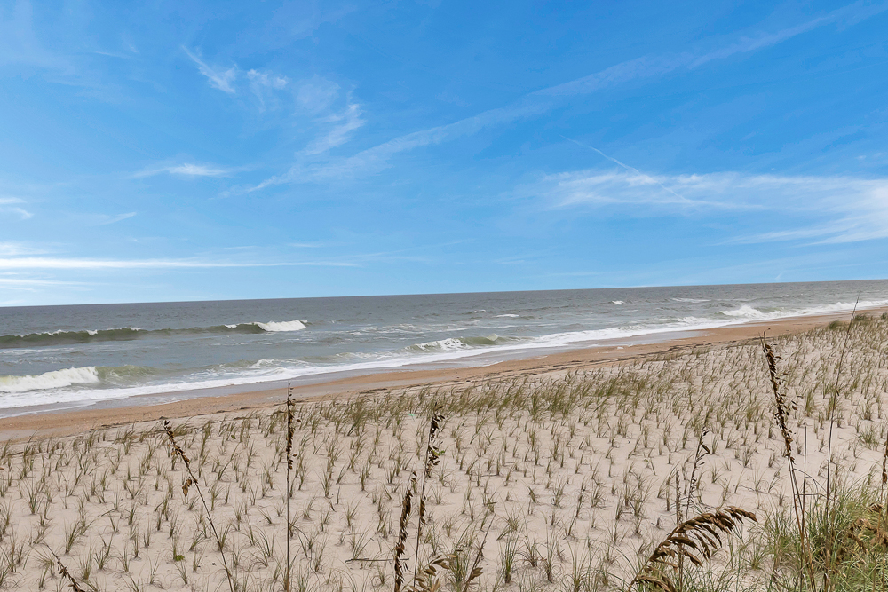 Hammock Views | Photo 1