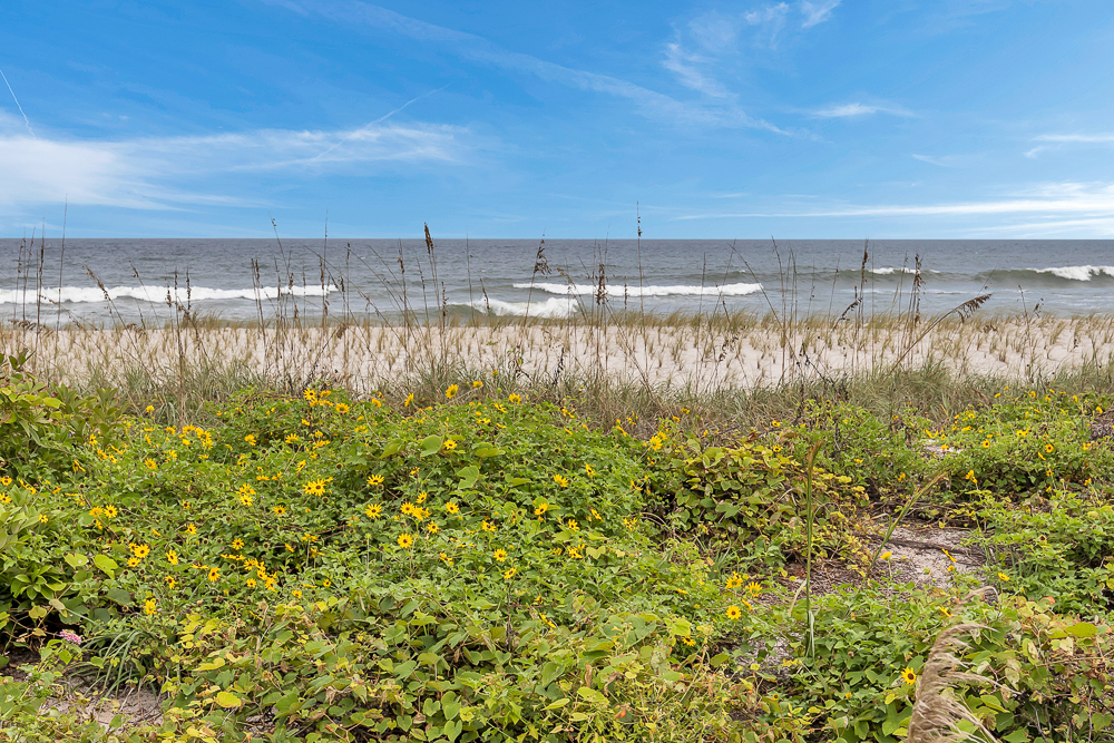 Hammock Views | Photo 2