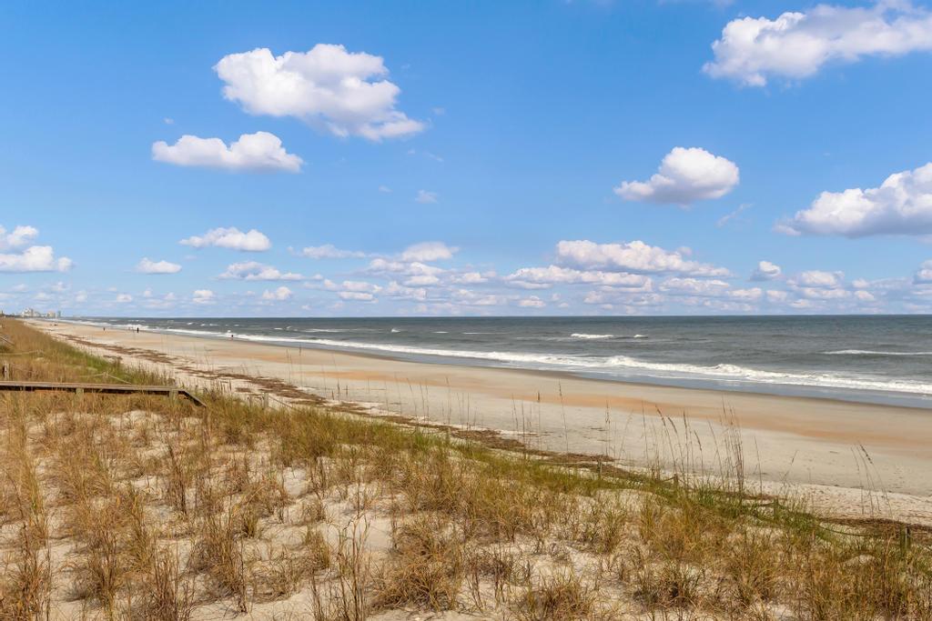 Fore-Shore | Photo 36