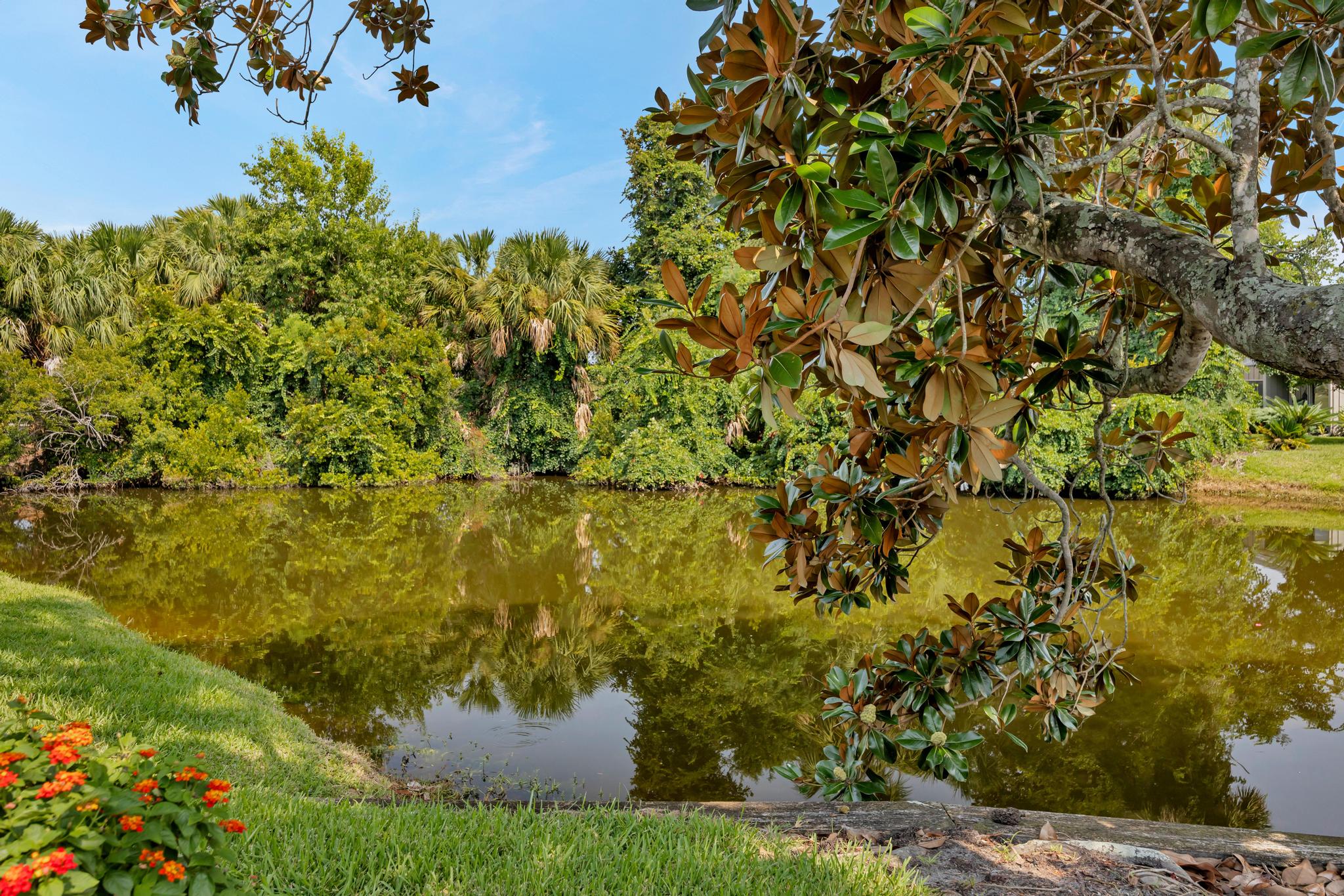 The Sawgrass Sanctuary | Photo 29