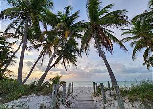 High Tide at Key West 1800 Atlantic Condos