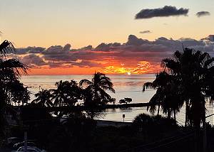 Atlantic Docks Paradise