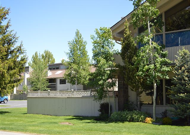 Complex Exterior Summer