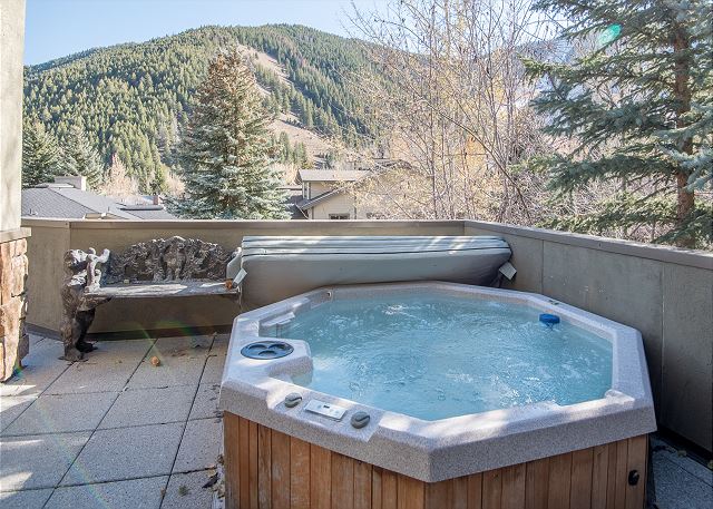 Private Hot Tub and Baldy Views