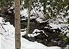 This stream flows behind the house. There is a bridge that crosses the stream, but please note that guests are not permitted to use the bridge as it is insecure from storm damage.