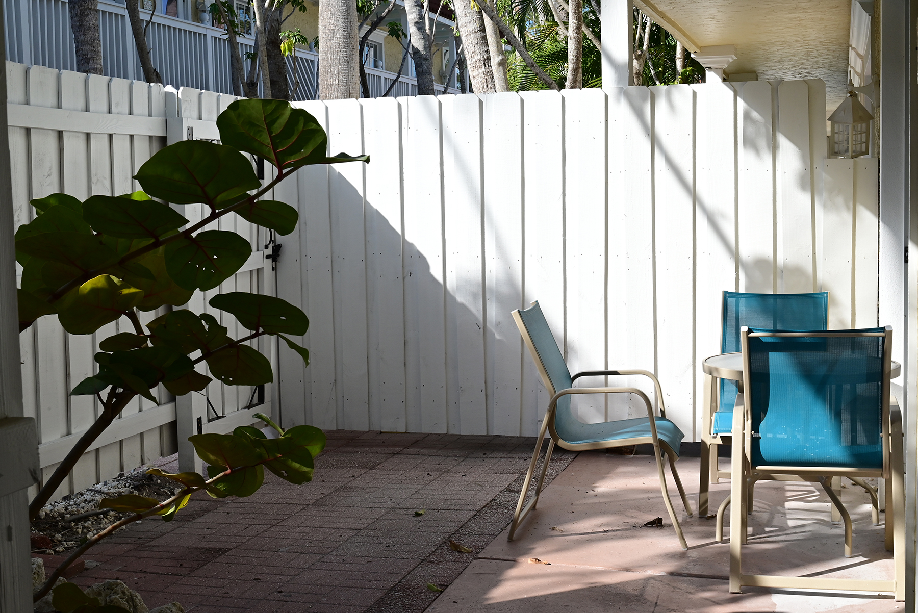 Tortuga Unit #125 | Photo 2
