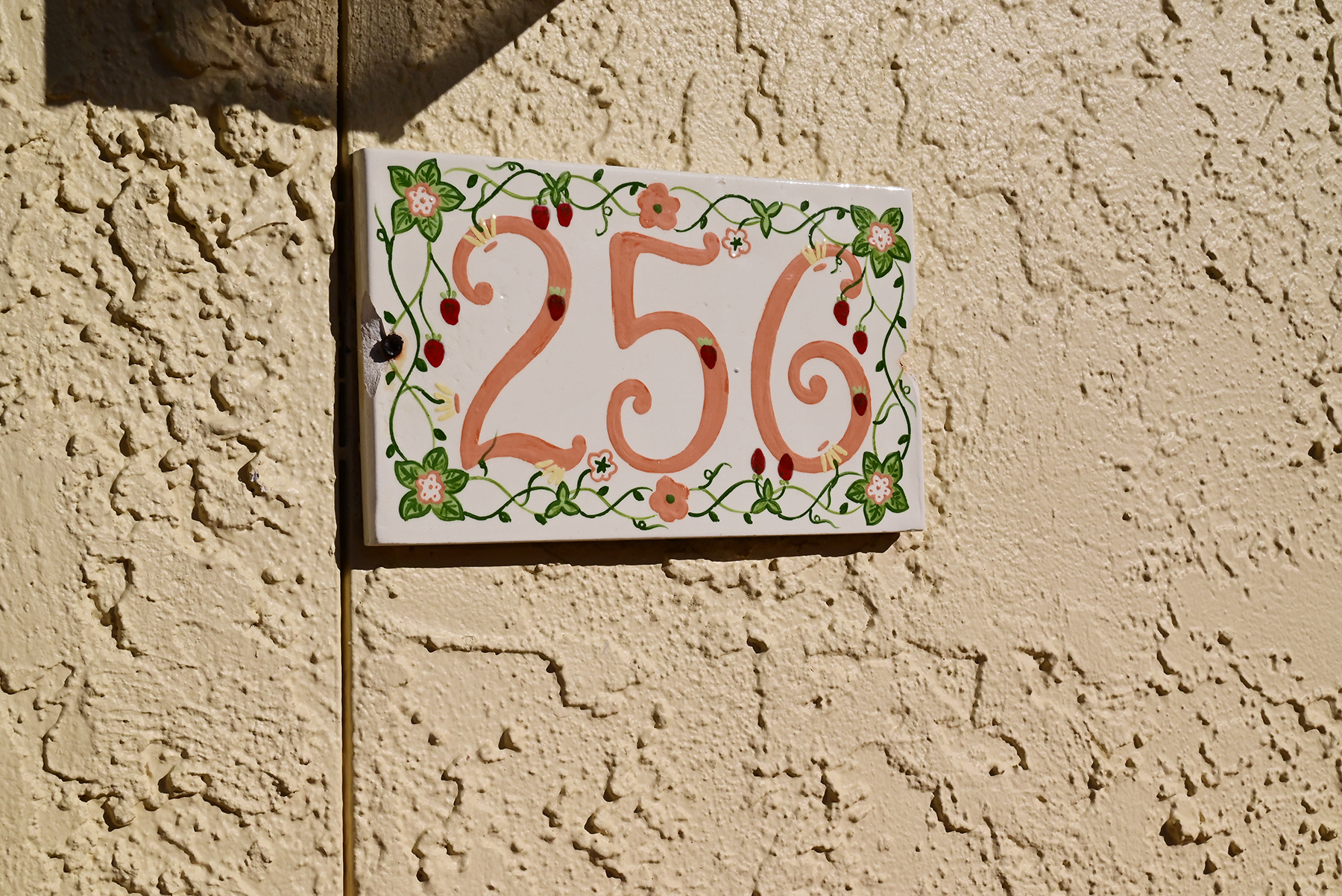 Tortuga Unit #256