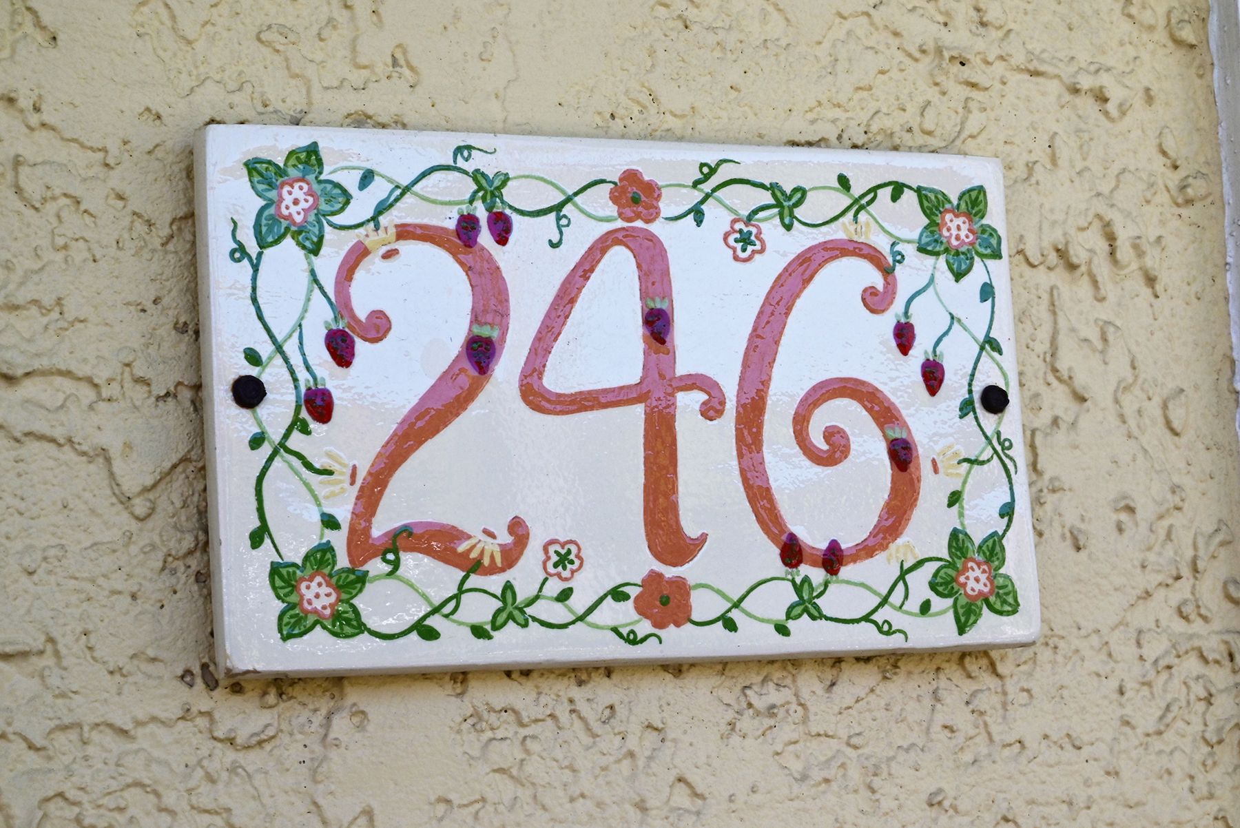 Tortuga Unit #246A