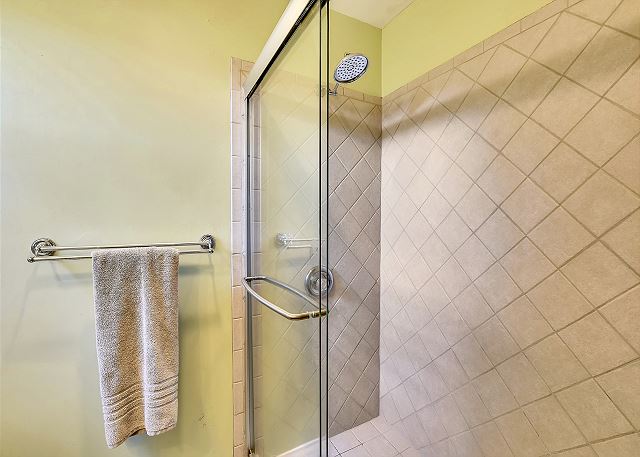 Master shower with great stone features