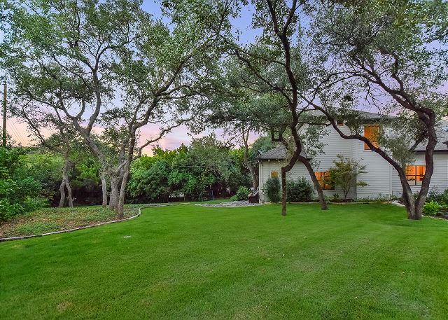 Back Yard