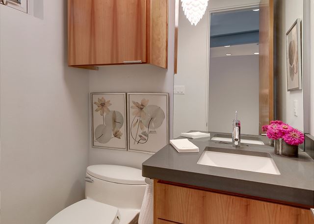 Downstairs half bathroom