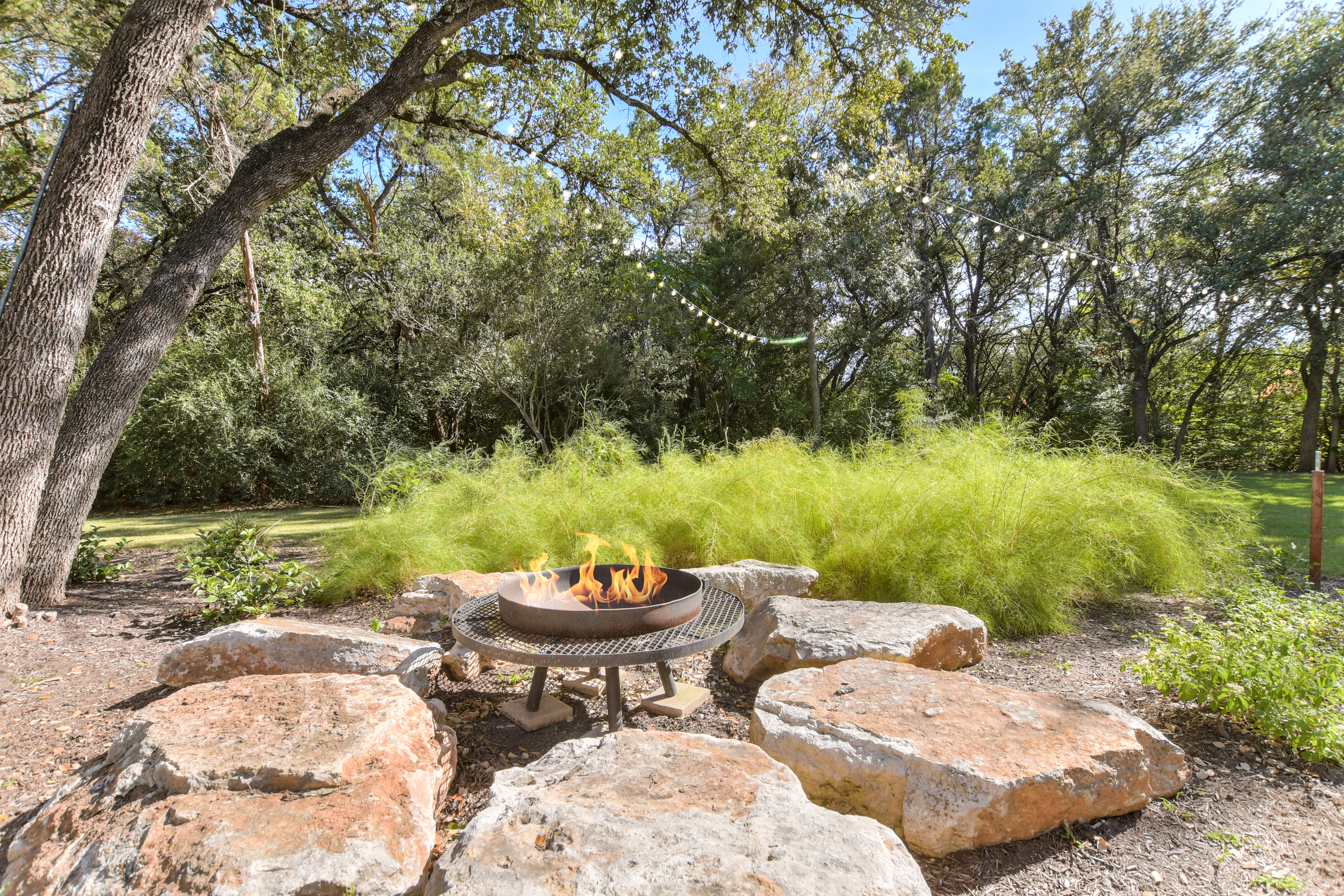 Above Austin Longhorn Estate | Photo 15