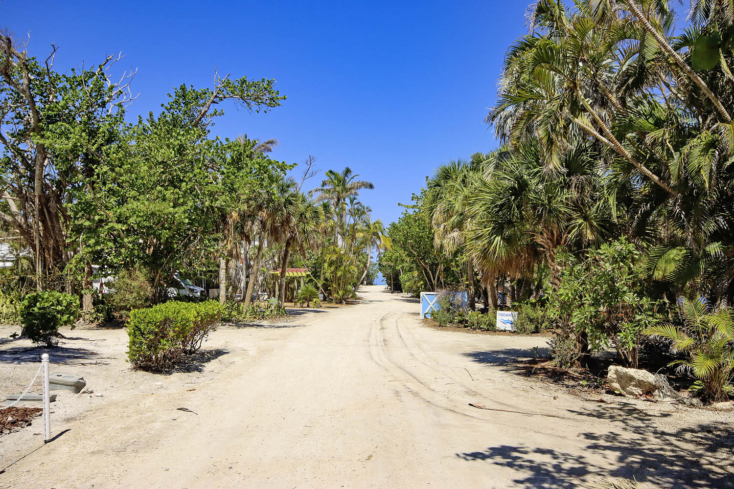 Captiva Cutie | Photo 13