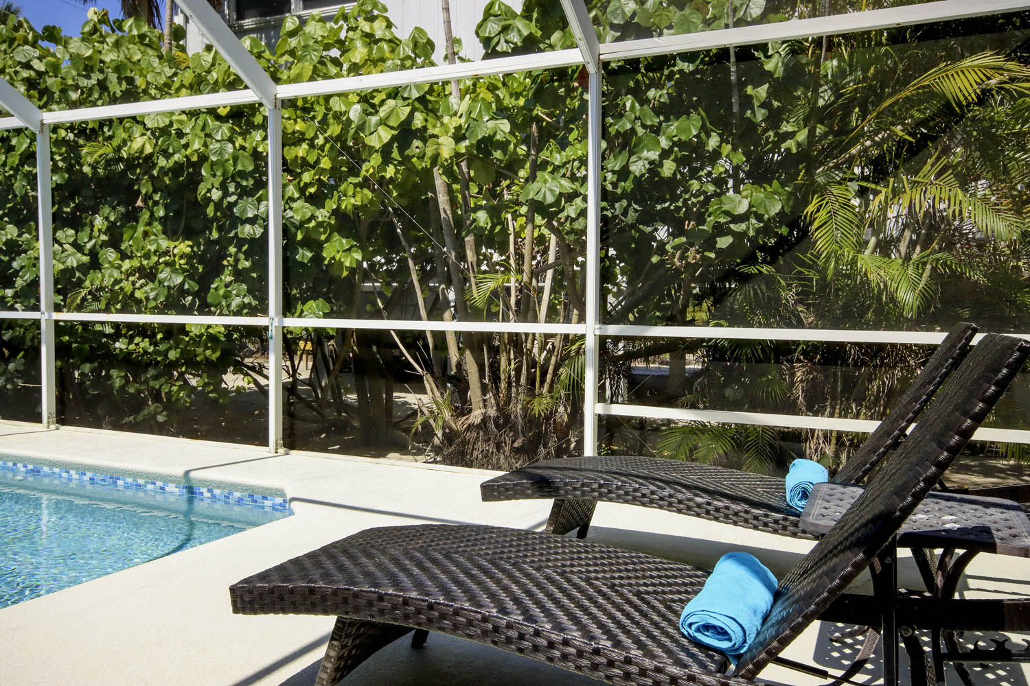 Captiva Cutie | Photo 6