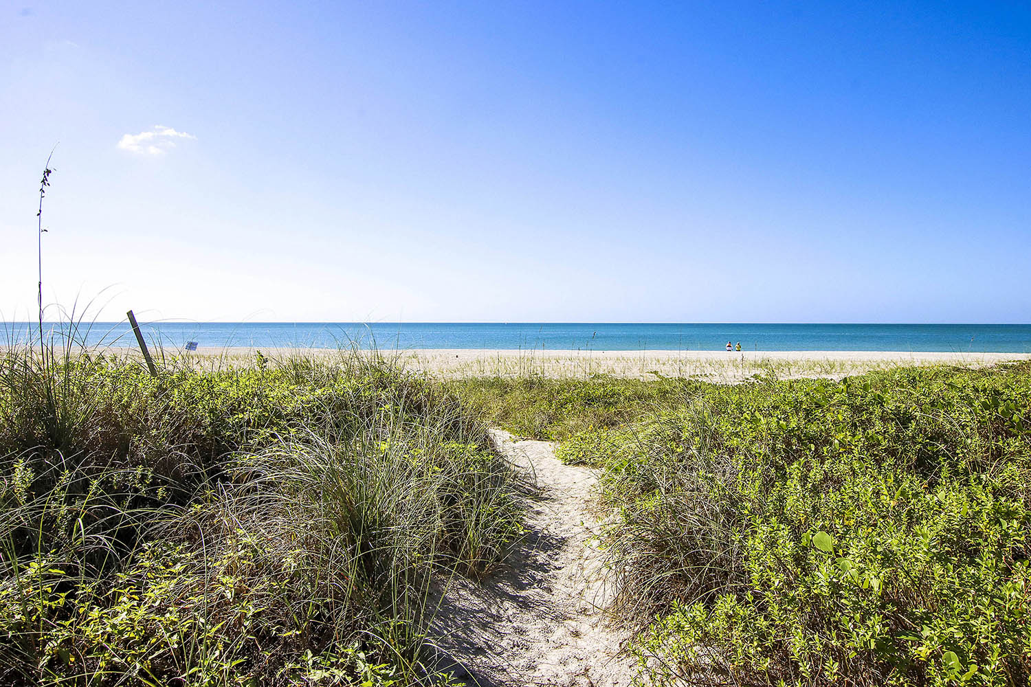 Barefoot Way | Photo 17