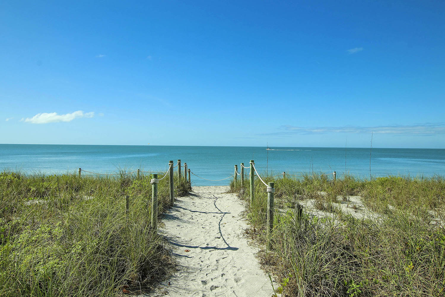 The Beach Nest | Photo 3