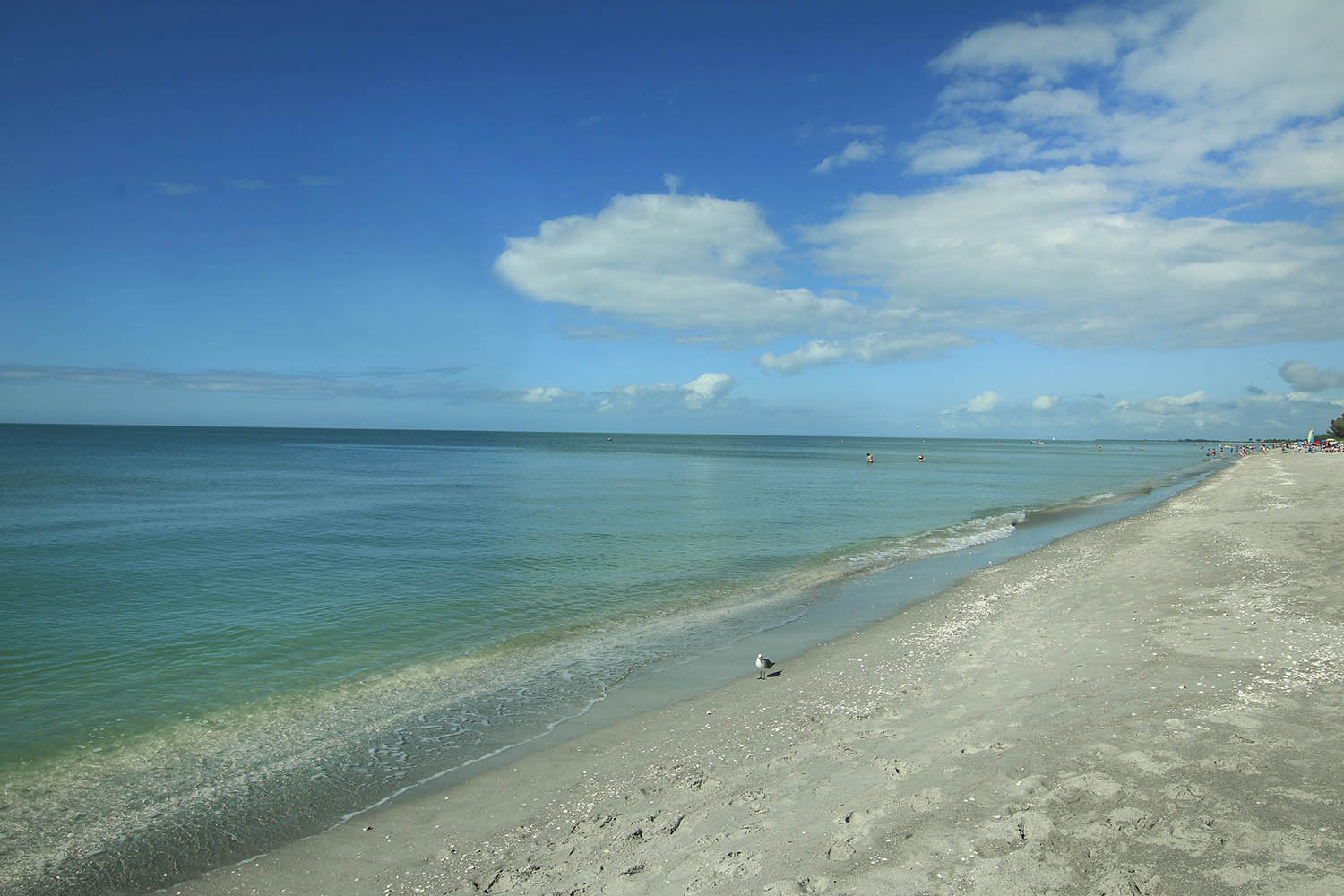The Beach Nest | Photo 2