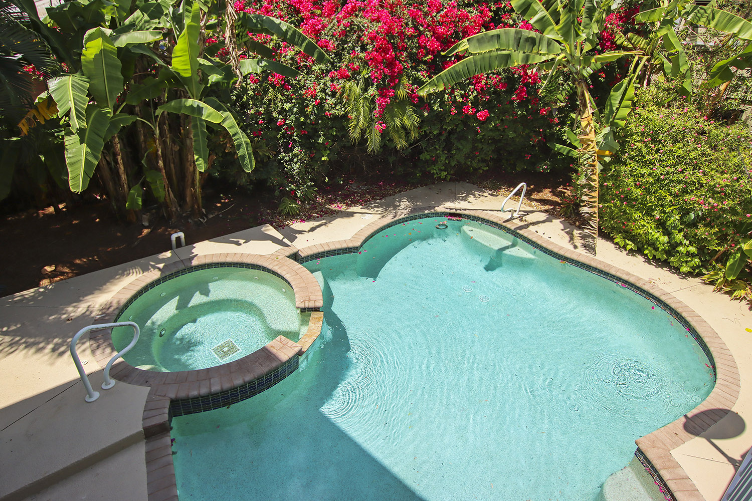 Captiva Star | Photo 3