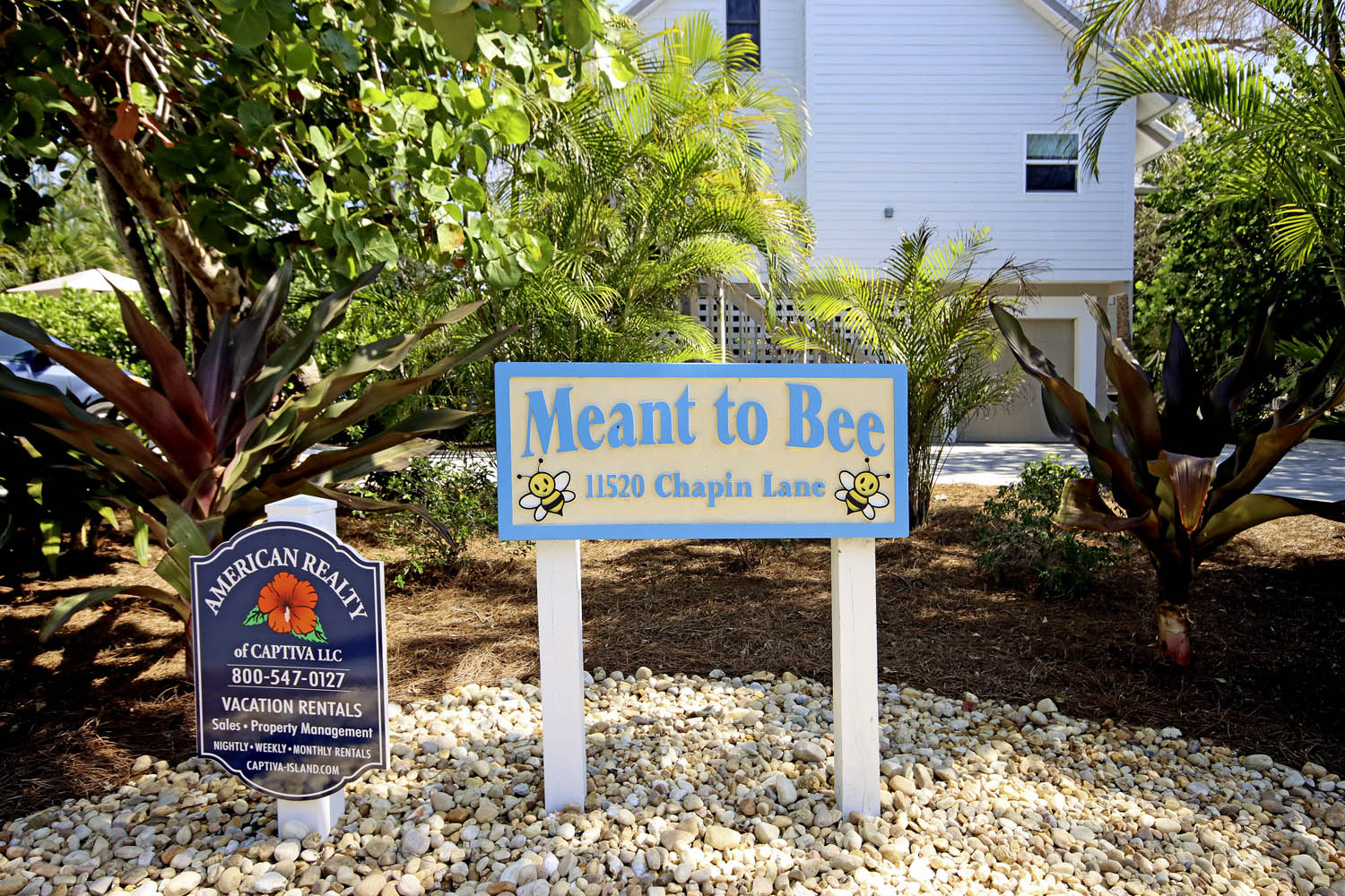 Meant to Bee | Photo 13