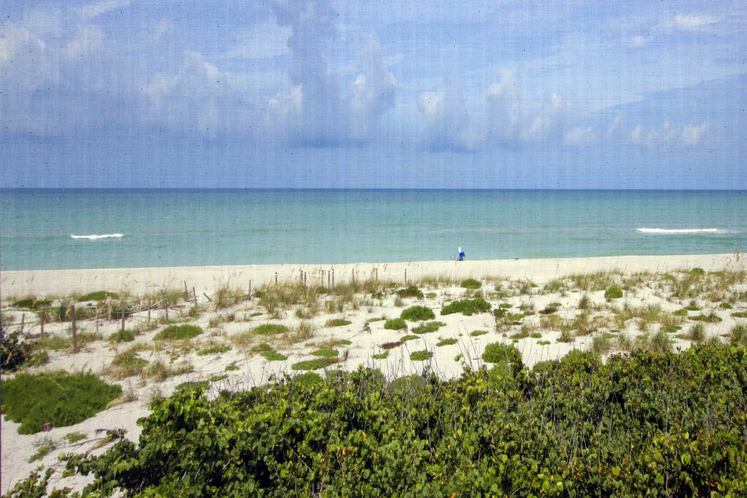 Surfcomber | Photo 10